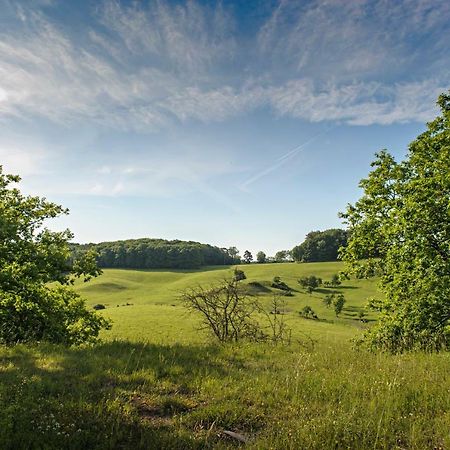 Nengshof Ferienhaus Gaensebluemchen Wißmannsdorf Exteriér fotografie