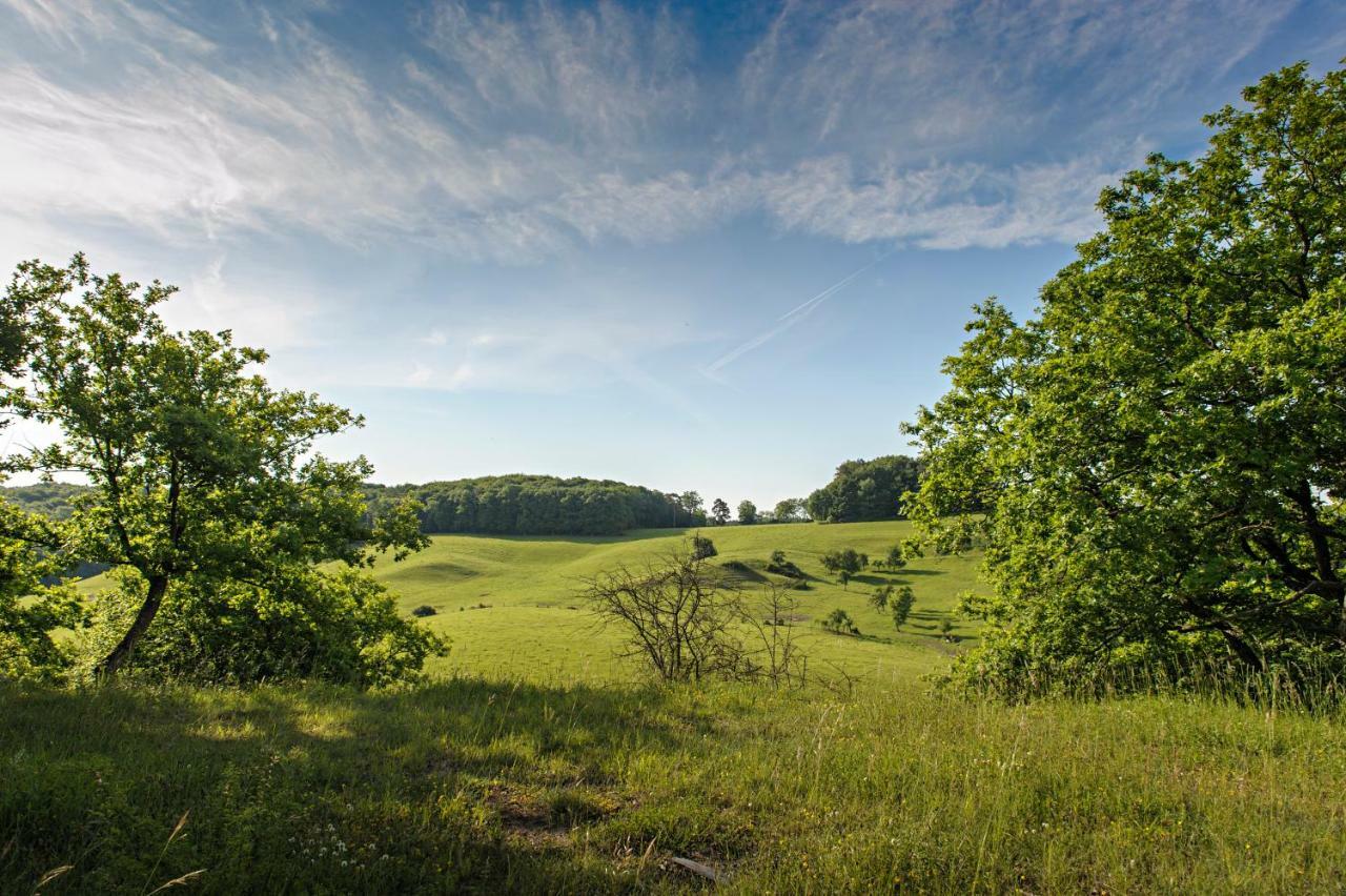 Nengshof Ferienhaus Gaensebluemchen Wißmannsdorf Exteriér fotografie